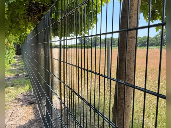 Anthraziter Doppelstabmattenzaun entlang einer baumbestandenen Grundstücksgrenze